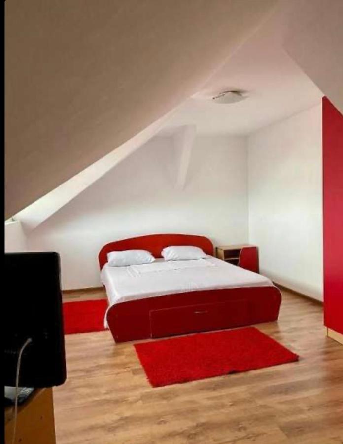 Hotel Vila George Costinesti Esterno foto